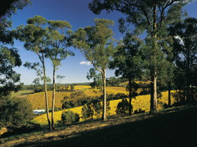 Lobethal SA Lennox Head Accommodation