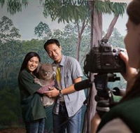 Cleland Wildlife Park - Lennox Head Accommodation