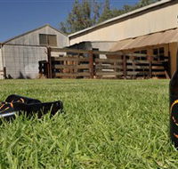 Wilkadene Woolshed Brewery - Lennox Head Accommodation