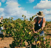 Torbreck Vintners - Lennox Head Accommodation