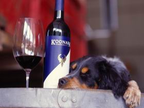 Koonara Wines - Lennox Head Accommodation 0