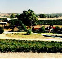 Irvine Wines - Lennox Head Accommodation