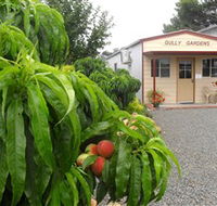 Gully Gardens - Lennox Head Accommodation