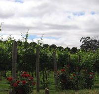 Manyara Vineyard - Lennox Head Accommodation