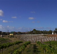 Deep Creek Wines and Alpacas - Lennox Head Accommodation
