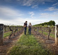 Coonawarra Wineries Walking Trail - Lennox Head Accommodation