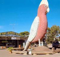 The Big Galah - Lennox Head Accommodation