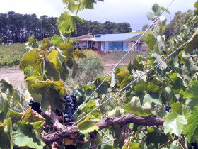 Zimmermann Wine - Lennox Head Accommodation 0