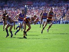 AAMI Stadium Tours - Lennox Head Accommodation 0