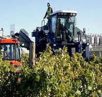 Ballast Stone Estate Wines Pty Ltd - Lennox Head Accommodation