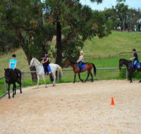 Megan Jones Riding School and Trail Rides - Lennox Head Accommodation