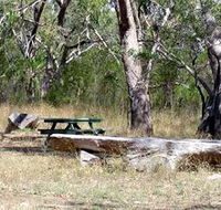 Penola Conservation Park - Lennox Head Accommodation