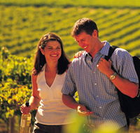 Lady Bay Vineyard - Lennox Head Accommodation