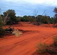 Tallaringa Conservation Park - Lennox Head Accommodation