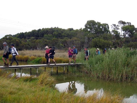 Lavender Federation Trail - Lennox Head Accommodation 1