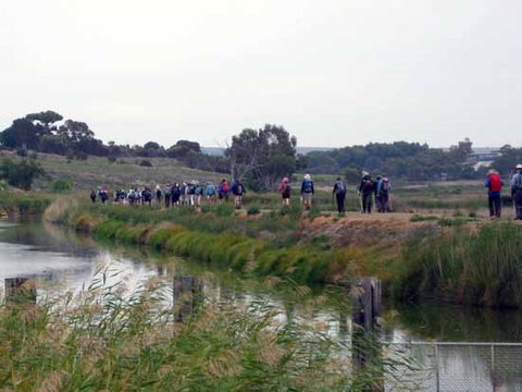 Lavender Federation Trail - Lennox Head Accommodation 2
