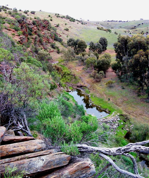 Lavender Federation Trail - Lennox Head Accommodation 3