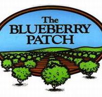 The Blueberry Patch - Lennox Head Accommodation