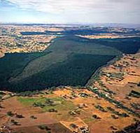 Mount Crawford Forest Reserve - Lennox Head Accommodation