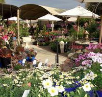 Serenity Nursery - Lennox Head Accommodation