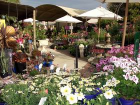 Serenity Nursery - Lennox Head Accommodation 0