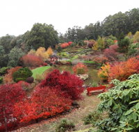 Emu Valley Rhododendron Garden - Lennox Head Accommodation