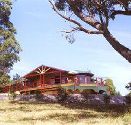 Barringwood Park Vineyard - Lennox Head Accommodation