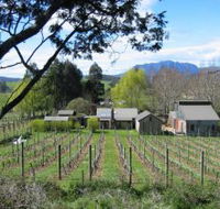 Wilmot Hills Vineyard - Lennox Head Accommodation