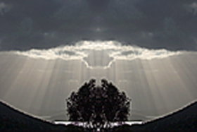 Aart. Gallery Of Fine Art - Lennox Head Accommodation 0