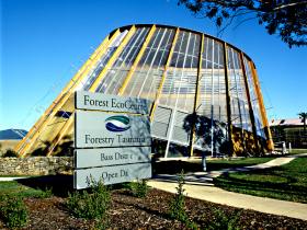Scottsdale TAS Lennox Head Accommodation