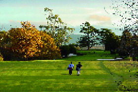 Hagley TAS Lennox Head Accommodation