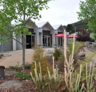 Tin Dragon Interpretation Centre and Cafe - Lennox Head Accommodation