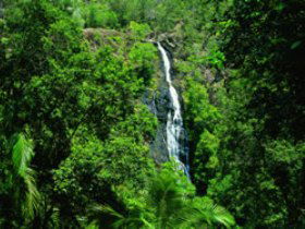Montville QLD Lennox Head Accommodation