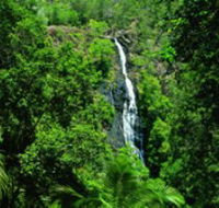 Kondalilla National Park - Lennox Head Accommodation