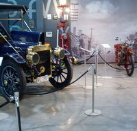 Wonders of Wynyard - The
