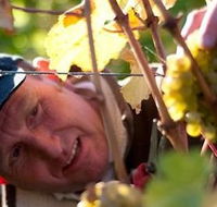 Puddleduck Vineyard - Lennox Head Accommodation