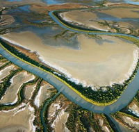 The Wilderness Gallery - Lennox Head Accommodation