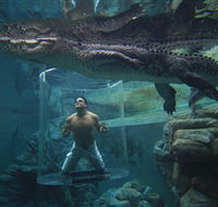 Crocosaurus Cove - Lennox Head Accommodation