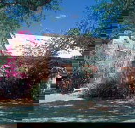 Springvale Homestead - Lennox Head Accommodation