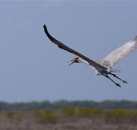 Gayngaru Wetlands Interpretive Walk - Lennox Head Accommodation