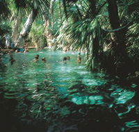 Mataranka Thermal Pool - Lennox Head Accommodation