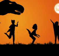 Energex Playasaurus Place - Lennox Head Accommodation