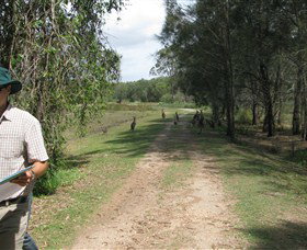 Coombabah QLD Lennox Head Accommodation