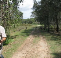 Coombabah Lakes Conservation Area - Lennox Head Accommodation