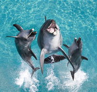 Sea World - Lennox Head Accommodation