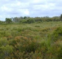 Pine Ridge Conservation Park - Lennox Head Accommodation