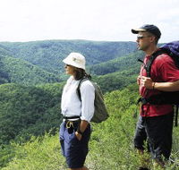 Sunshine Coast Hinterland Great Walk - Lennox Head Accommodation