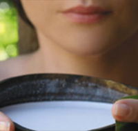 Ikatan Day Spa - Lennox Head Accommodation