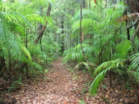 Mapleton QLD Lennox Head Accommodation