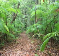 Delicia Road Conservation Park - Lennox Head Accommodation